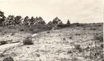 2500-T64-46 Forest Erosion - National Forests and Grasslands 1930 by United States Forest Service