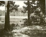 2351-515391 Double Lake - Sam Houston National Forest 1966 by United States Forest Service