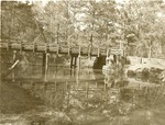 2351-T63-112 Swimming Hole Big Creek Rd 217 Big Thicket - Sam Houston National Forest 1960 by United States Forest Service