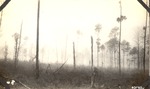 CP4-T64-303 - Sam Houston National Forest 1939 001 by United States Forest Service