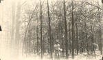 CP5-400846 - Sam Houston National Forest 1948 002