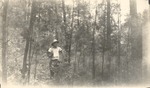 CP6-400847 - Sam Houston National Forest 1948 002 by United States Forest Service