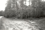 CP5107 - Little Lake - Sam Houston National Forest 1987 by United States Forest Service
