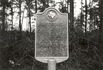 CP5110 - Little Lake - Sam Houston National Forest 1987 by United States Forest Service