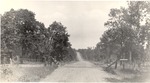406519 - Sabine National Forest 1940
