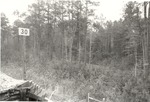 CP2104 THW - Angelina National Forest 1987