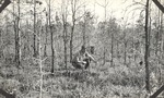 CP18-400843 - Sabine National Forest 1939 001