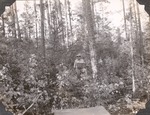 CP19-400844 - Sabine National Forest 1947 002 by United States Forest Service