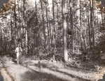 CP20-400845 - Sabine National Forest 1947 002