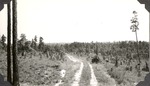 CP41-04 - Sabine National Forest 1940 001