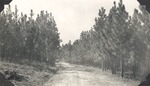 CP41-04 - Sabine National Forest 1951 002 by United States Forest Service