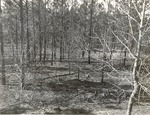 CP41-T64-306 - Sabine National Forest 1960 by United States Forest Service