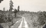 CP42-04 - Sabine National Forest 1940 001 by United States Forest Service