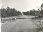CP46-T64-310 - Sabine National Forest 1960