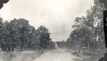 CP50-406519 - Sabine National Forest 1951 002