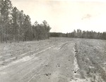 CP58-T64-254 - Sabine National Forest 1960
