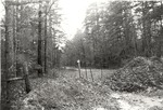 CP4101-12 - Sabine National Forest 1987