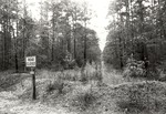 CP4104-14 - Sabine National Forest 1987 by United States Forest Service