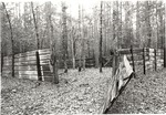 CP4105-15 - Sabine National Forest 1987 by United States Forest Service