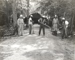 1310 T64-123 APW Crew Removing Sawdust - Sam Houston National Forest 1963 by United States Forest Service