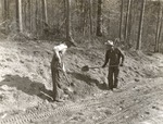 1310 T64-393 Road Bank Fixation - Sabine National Forest 1960 by United States Forest Service