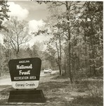 2350-10713 Entrance Sign Caney Creek - Angelina National Forest 1969 by United States Forest Service