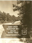 2350 508556-7516 Entrance Sign Sandy Creek - Angelina National Forest 1964