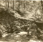 2300-T64-435 Spring Boles Field - Sabine National Forest 1938 by United States Forest Service