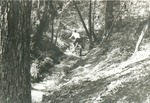 2351.12 ORV - Sam Houston National Forest 1975 by United States Forest Service