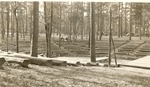 2330-406091 Fox Bowl Boles Field 01 - Sabine National Forest 1940 by United States Forest Service