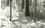 2330-T64-148 Drinking Fountain Boykin Springs Nature Trail - Angelina National Forest 1963