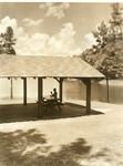 2330-7495 Picnic Red Hills Lake - Sabine National Forest 1964 by United States Forest Service