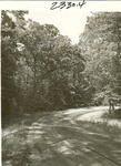 2330-T64-156 Ratcliff Road - Davy Crocket National Forest 1961