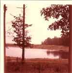 2330-T68-49 Lucas Creek 01 - Angelina National Forest 1967 by United States Forest Service