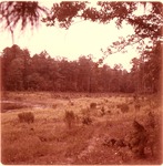 2330-T68-50 Lucas Creek 02 - Angelina National Forest 1967 by United States Forest Service