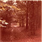 2330-T68-51 Lucas Creek 03 - Angelina National Forest 1967 by United States Forest Service