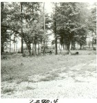 2330-T68-91 Townsend Rec Area - Angelina National Forest 1968