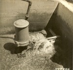 2330-372396 Ram Pump Boykin Springs - Angelina National Forest 1938 by United States Forest Service