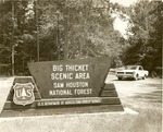 2350-508561 Big Thicket Scenic Area Car - Sam Houston National Forest 1964 by United States Forest Service