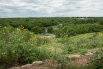 07 Paso del Indio. Web County, Texas by Christopher Talbot